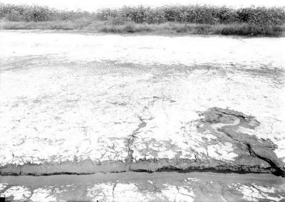 black and white photograph of dried marsh landscape