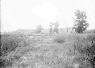 black and white photograph of marsh landscape