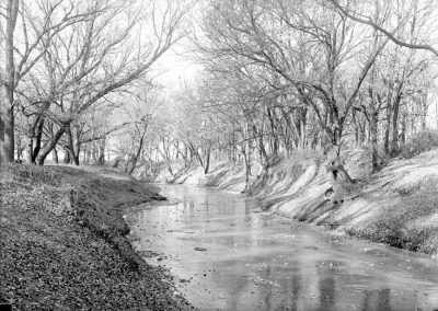 black and white photograph of creek and trees on shoreline