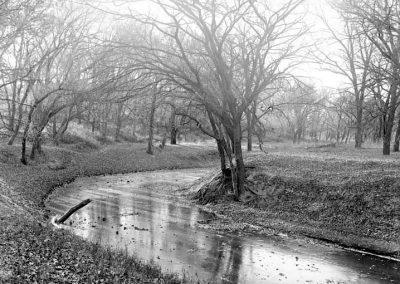 black and white photograph of creek and trees on shoreline
