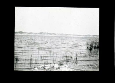 black and white photo, with black bord, of a lake with reeds and ripples