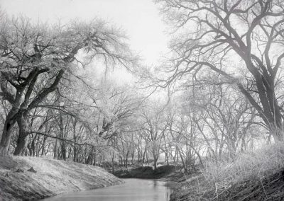 black and white photo of trees, creek, and embankment with vegetation