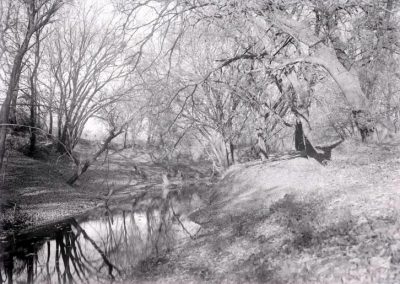 black and white photo of creek and trees along embankment