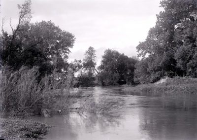 black and white photograph of creek with vegetation in water and on embankment with trees