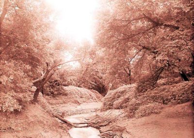 sepia photograph of creek joining with trees on embankment and in water