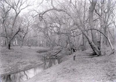 black and white photo of creek with trees along embankment and in water