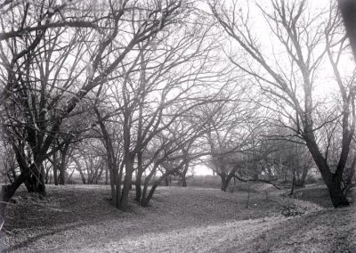 black and white photo of creek bed with very begetation and very little water