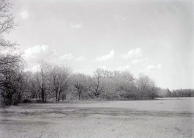 black and white photo of grass meadow and trees