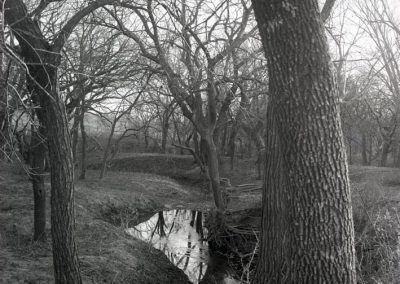 black and white phto of creek between trees on bank