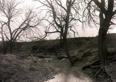 black and white photo of rock bank and trees along creek