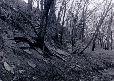black and white photo of wooded bank