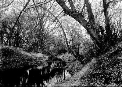 black and white photo of creek with trees along the embankment
