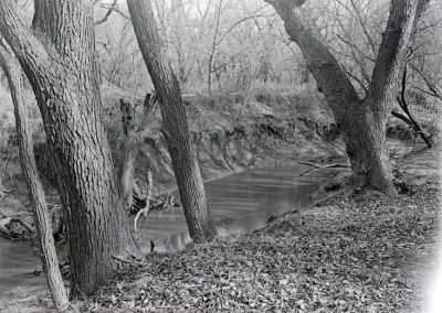 black and white photograph of trees on embankment of creek