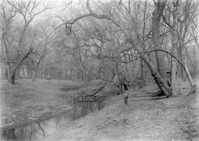 black and white photo of creek, banks, and trees
