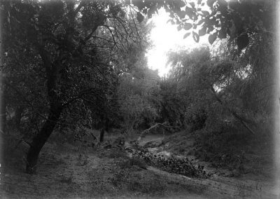 Black and white photo of tree and creek bend with branches in it