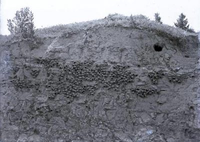 black and white photograph of cliff swallow nests on bluff