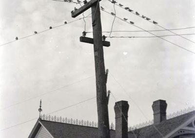 black and white photo of birds on electric wire and pole with house roof
