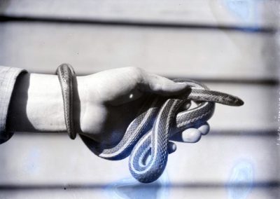 black and white photo of snake held in a hand