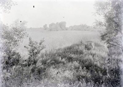 black and white photo of marsh landscape