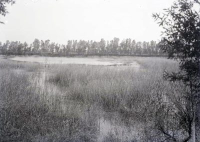 black and white photo of water in landscape