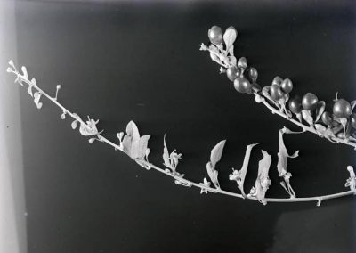 black and white photo of branch and berries