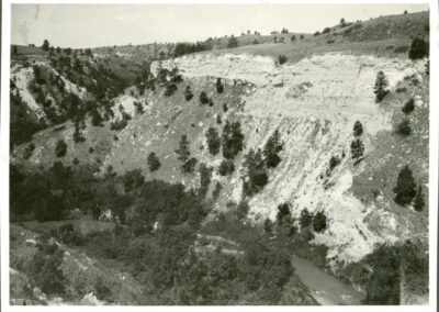 black and white photo of a canyon with evergreen trees